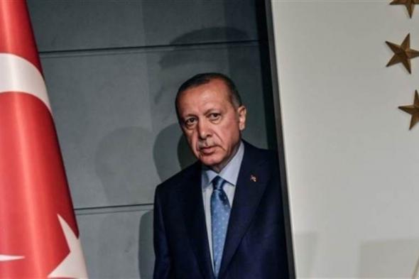 وكالة فيتش: أردوغان يضرب مصداقية السياسة النقدية لتركيا