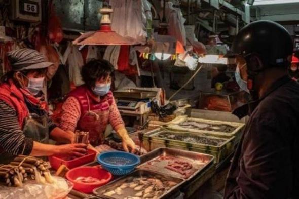 47 ألف حيوان حي للبيع بأسواق ووهان الصينية