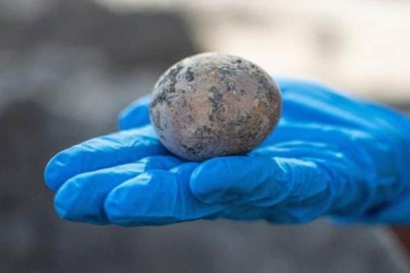 تعود للعصر الإسلامي.. العثور على بيضة عمرها ألف عام في إسرائيل