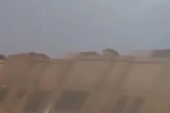 أسد مفترس يتسلق منزل في الرياض.. وزئيره يغلق حي الرمال ويحوله لشارع أشباح (فيديو)