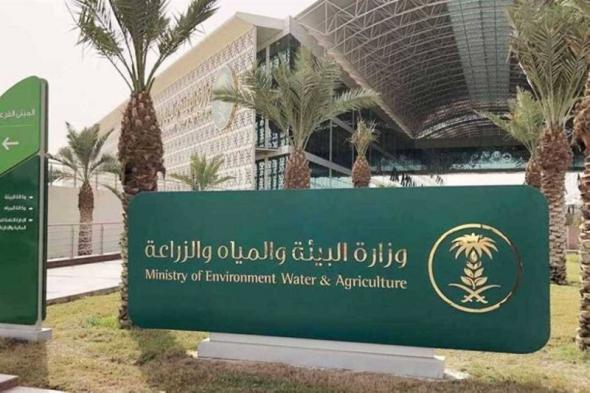 وزارة البيئة في السعودية تعلن عن توفر 150 وظيفة للرجال والنساء.. وتكشف عن التخصصات المطلوبة وموعد التقديم