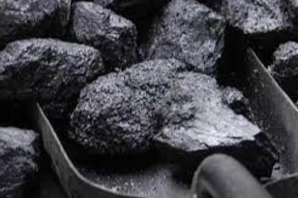 عاجل.. ألمانيا ستوقف شراء الفحم الروسي في أغسطس والنفط ديسمبر