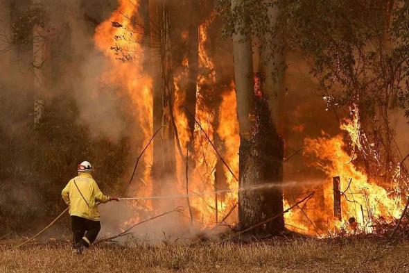 ارتفاع حصيلة ضحايا حرائق الغابات في هاواي إلى 53 قتيلًا