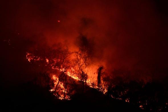 المكسيك.. موجة حرائق الغابات تودي بحياة 4 أشخاص