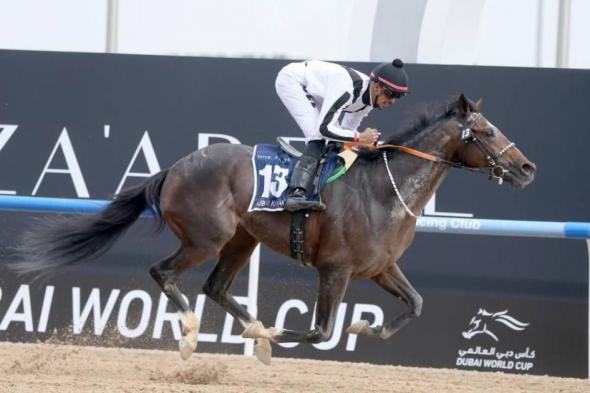 الفريدي يشيد بفوز«تلال الخالدية» بشوط الخيول العربية