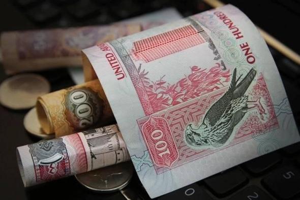 الإيداعات النقدية لدى «المركزي» ترتفع إلى 15.4 مليار درهم