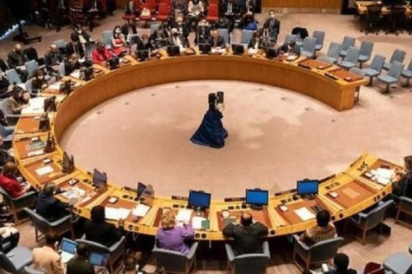 مجلس الأمن يحيل طلب فلسطين لتصبح عضواً كاملاً للجنة العضوية