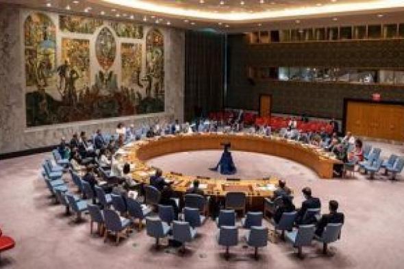 مجلس الأمن يحيل طلب فلسطين لنيل العضوية الكاملة بالأمم المتحدة للجنة المختصة