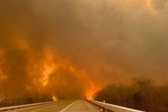 70 حريقا في غابات إيلافوس خلال 24 ساعات
