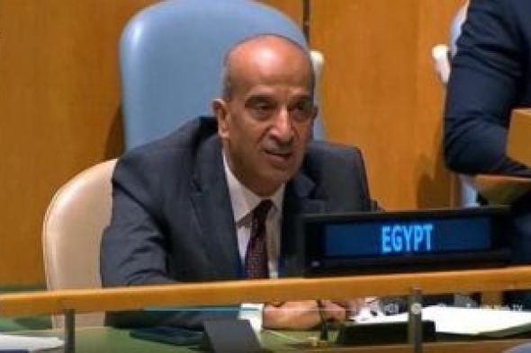 مصر تطالب مجلس الأمن باستصدار قرار يمنع تصدير السلاح لإسرائيل
