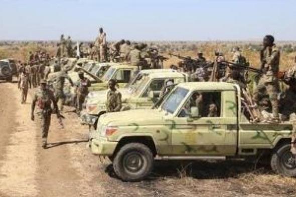 الجيش السوداني ينفذ عمليات تطهير ناجحة في شمال كردفان