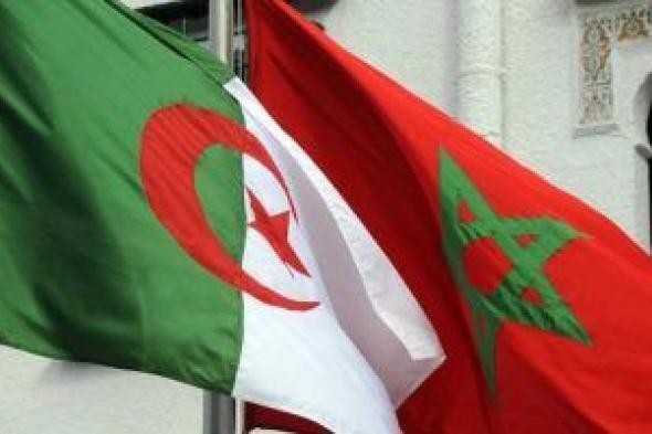 الجزائر تتخذ إجراء قاسيا ضد فريق نهضة بركان المغربي.. تفاصيل