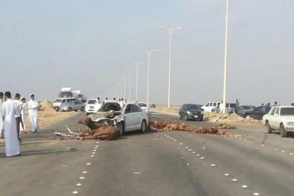 حادث مروع بالمدينة المنورة..."المرور السعودي" وفاة شخص وإصابة آخرين إثر حادث - موقع الخليج الان