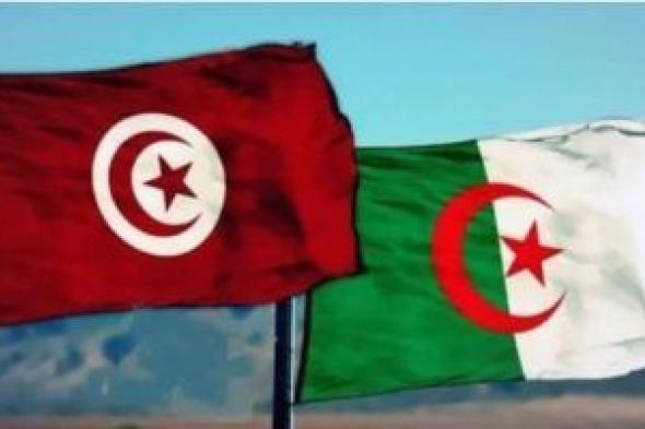 اتفاق تونسي وجزائري وليبي على إقامة استثمارات كبرى مشتركة