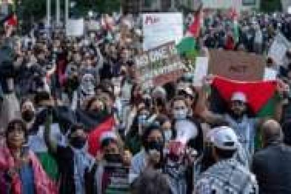 تصاعد الاحتجاجات الطلابية في الجامعات الأميركية ضد الحرب الإسرائيلية على غزة - موقع الخليج الان