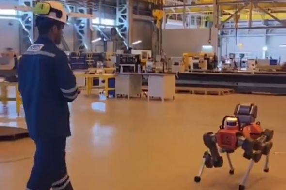 الكويت تبدأ استخدام الروبوتات في مصفاة الزور النفطية (فيديو)