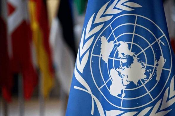 الأمم المتحدة تجمع 12% من مساعدات السودان