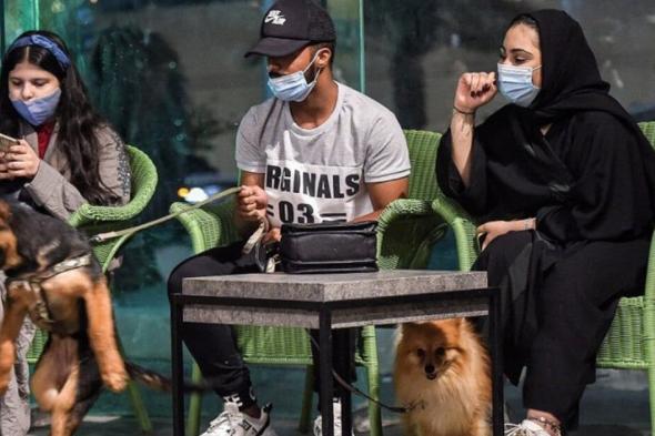 إيران تغلق "مقهى الكلاب" المثير للجدل