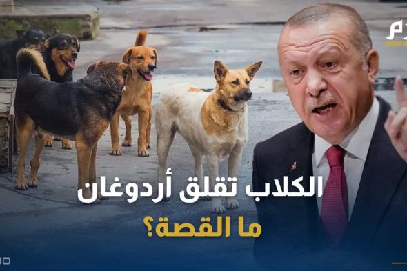 الكلاب تُقلق أردوغان.. ما القصة؟