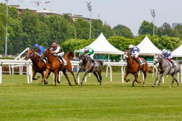 إيطاليا تحتضن كأس رئيس الدولة للخيول العربية